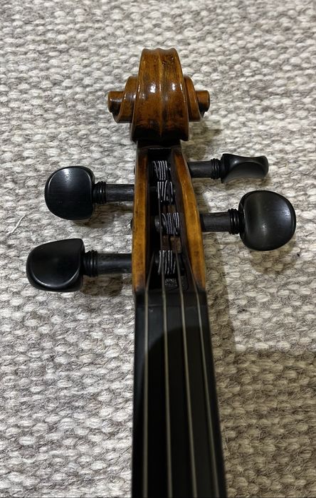 Viola Antonio Wang modelo Verona