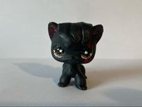 Lps custom shorthair