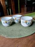 Villeroy &Boch Botanica 2. filiżanki.
