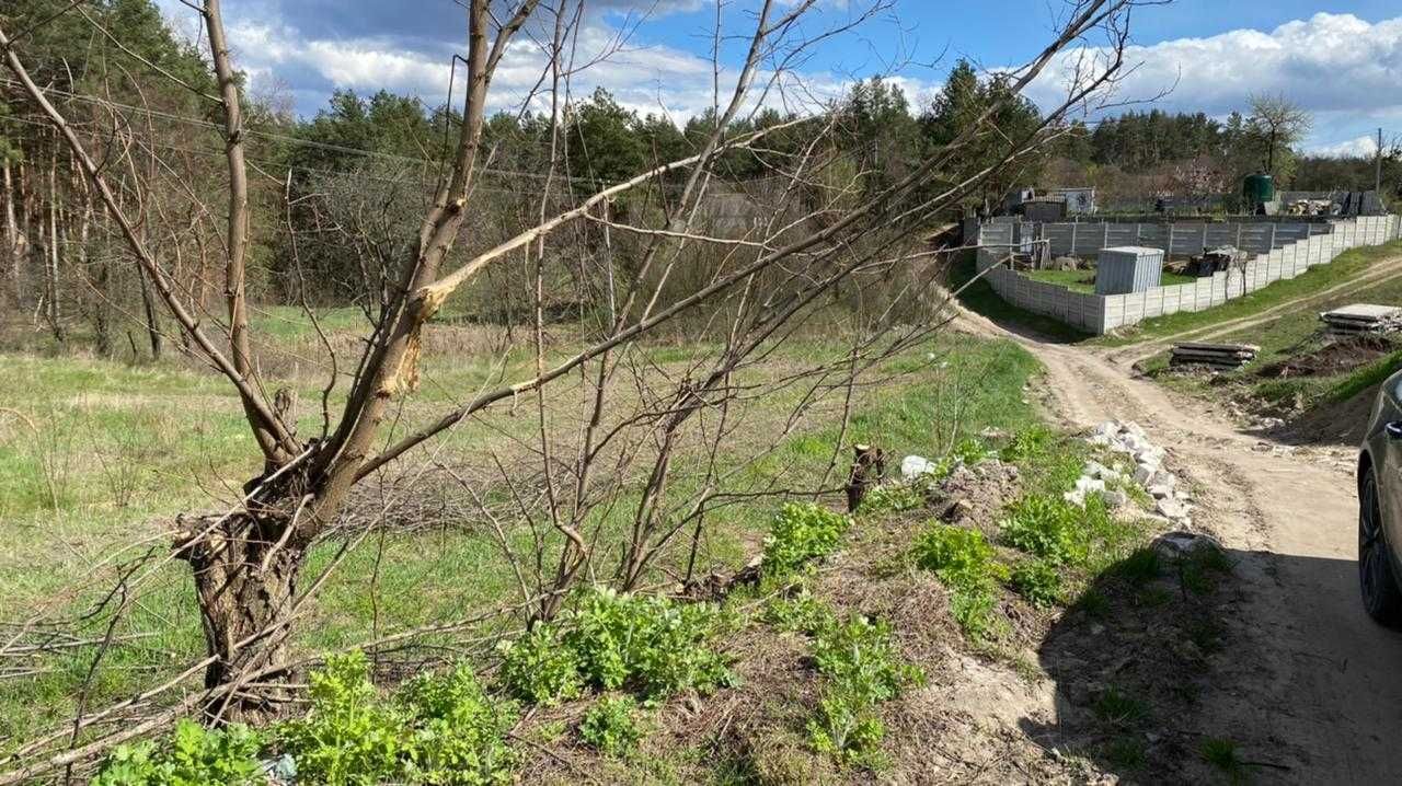 Обухівский р-н, с.Нещерів ділянка 12 соток с виходом в ліс