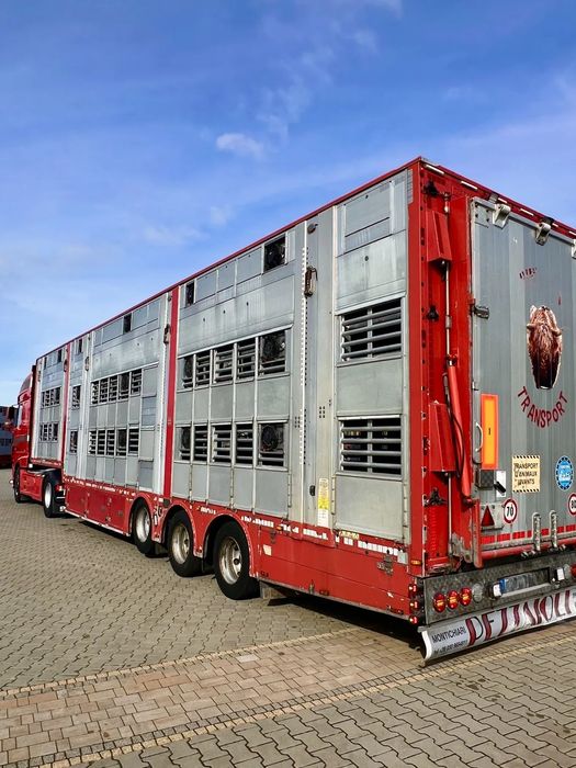 Pezzaioli NACZEPA  2017 / 3 POZIOMY / TRANSPORT ZWIERZĄT / HYDRAULIKA / STEROWANIE PILOTEM/ PODNOSZONY DACH /