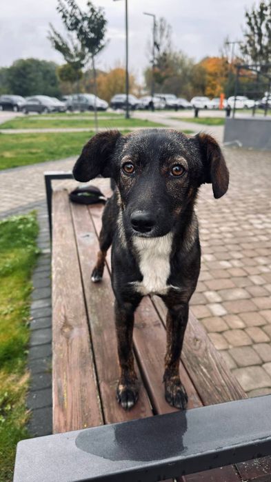 Неймовірна красуня шукає сім'ю