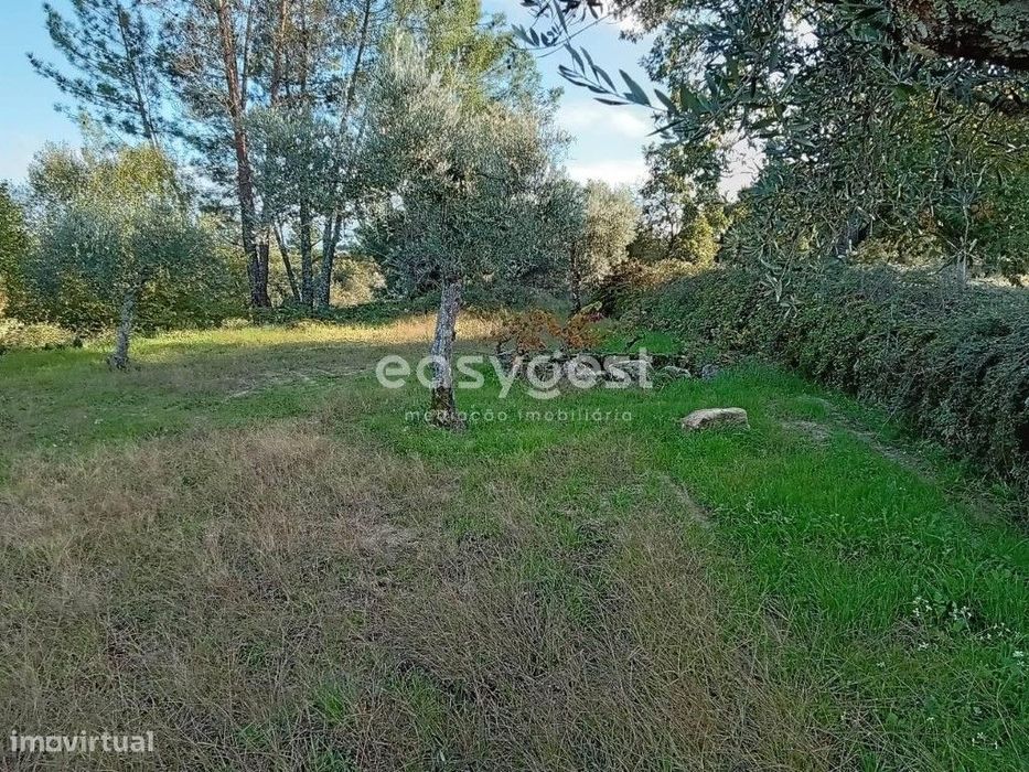 Terreno Rústico excelente localização na aldeia de Póvoa Rio Moinhos