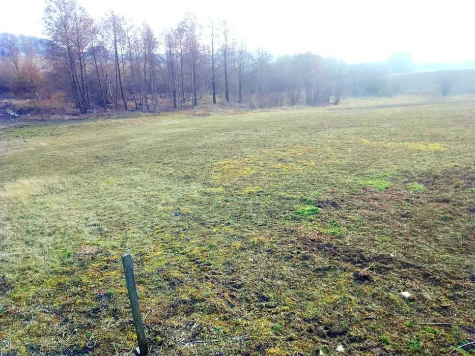 Działka na sprzedaż Oracze