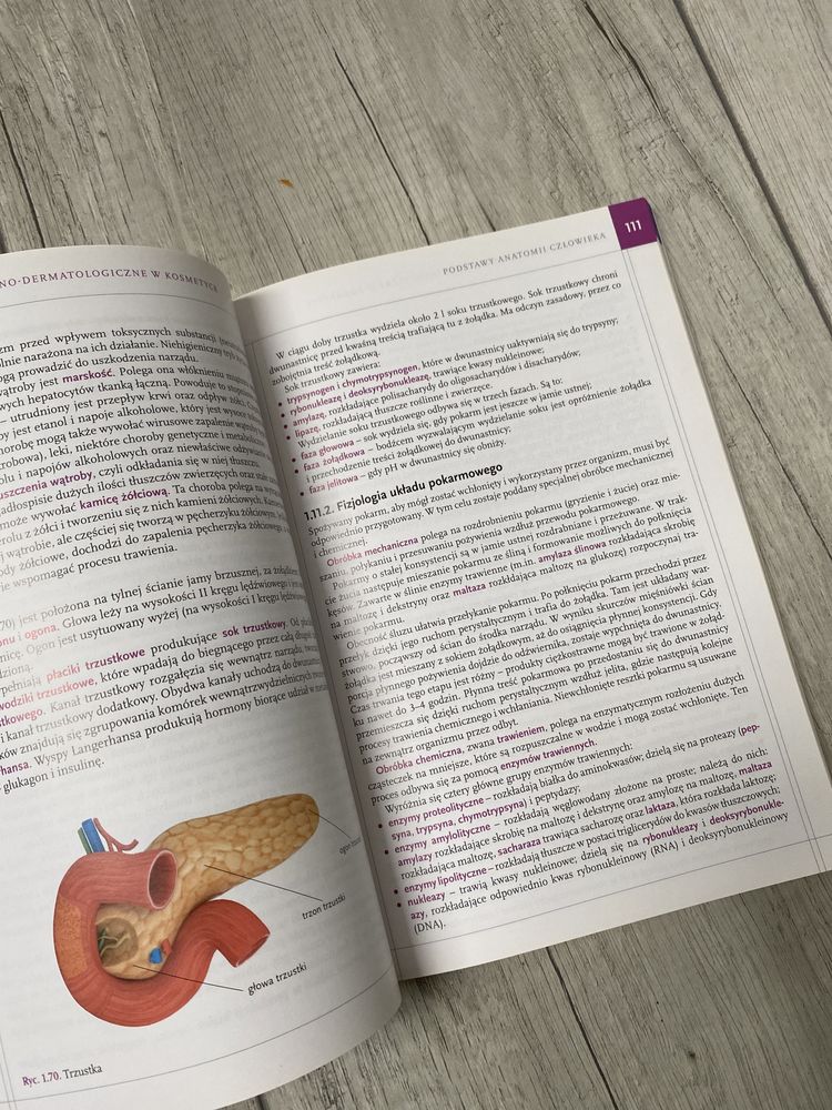 Podstawy anatomiczno-dermatologiczne w kosmetyce