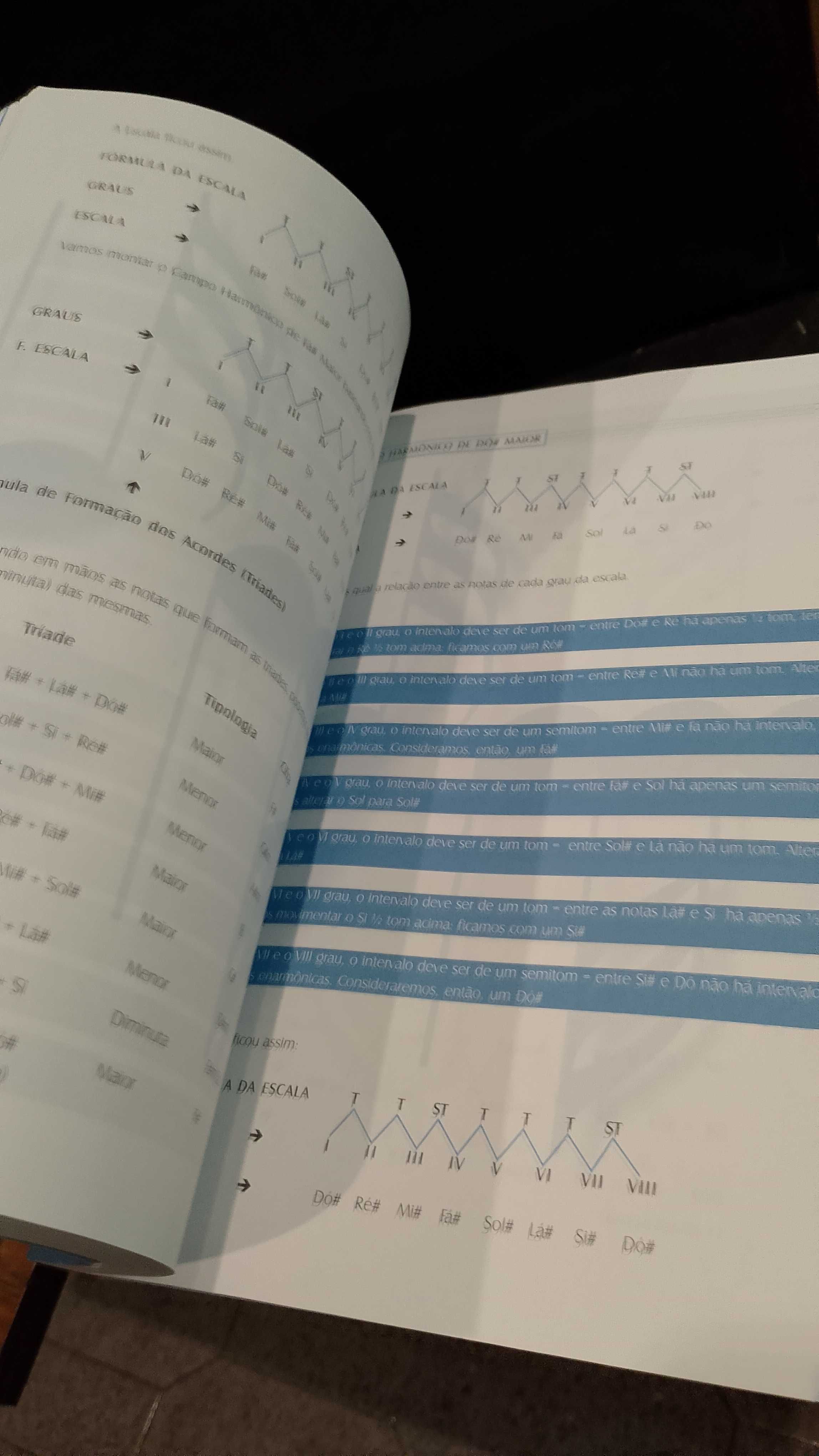 Coleção aprenda fácil Violão