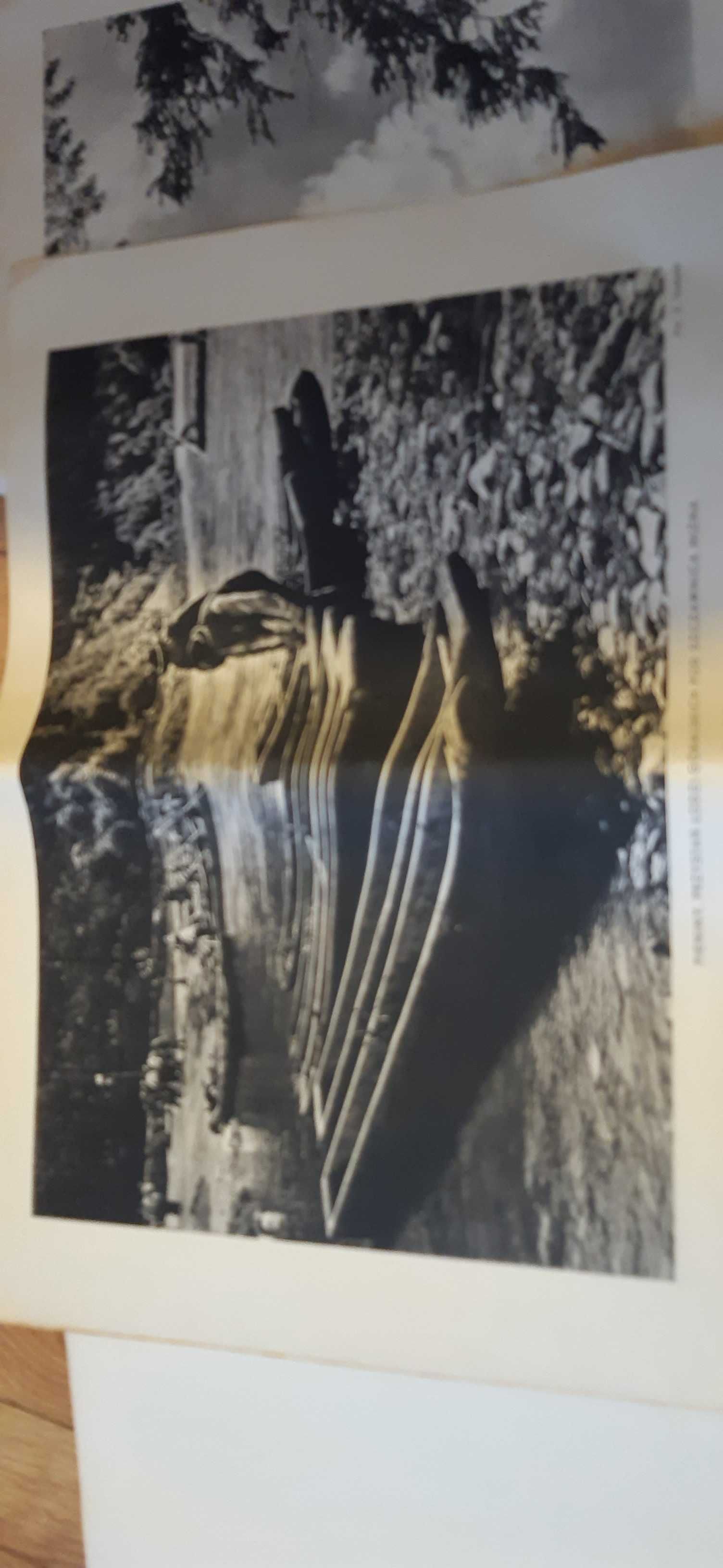 PIENINY. Ilustracja szkolna. Teka nr 9. Cykl: Regiony Polski. 1964 rok