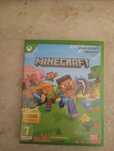 Minecraft survival