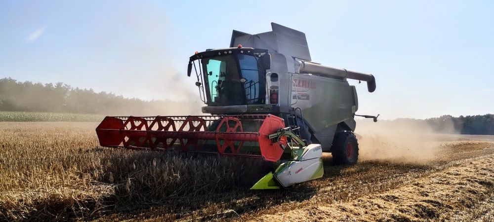 Usługa zbioru zboża, rzepaku, kukurydzy