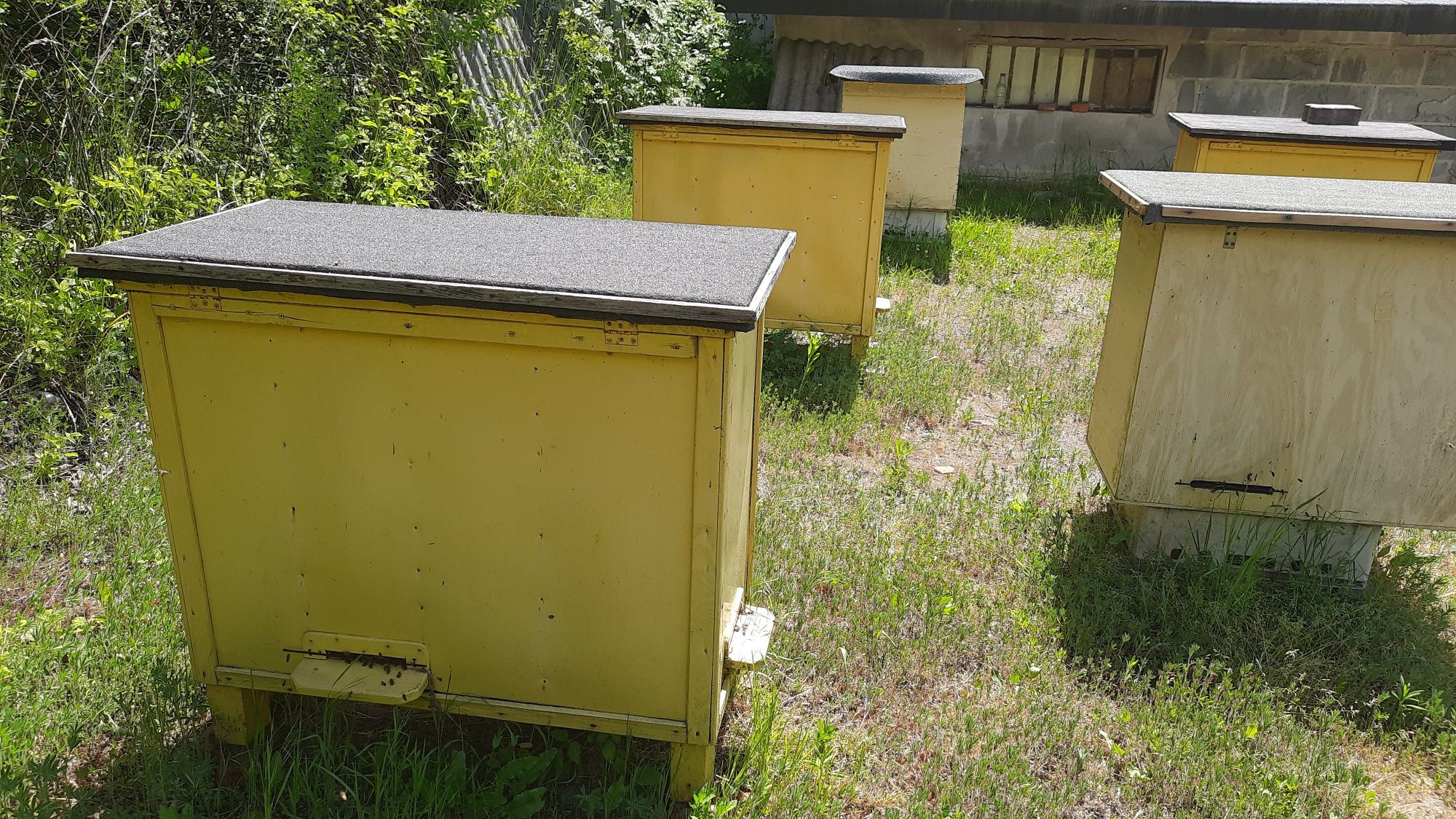 Ule Warszawskie poszerzane na dwie rodziny pszczele SUPER STAN