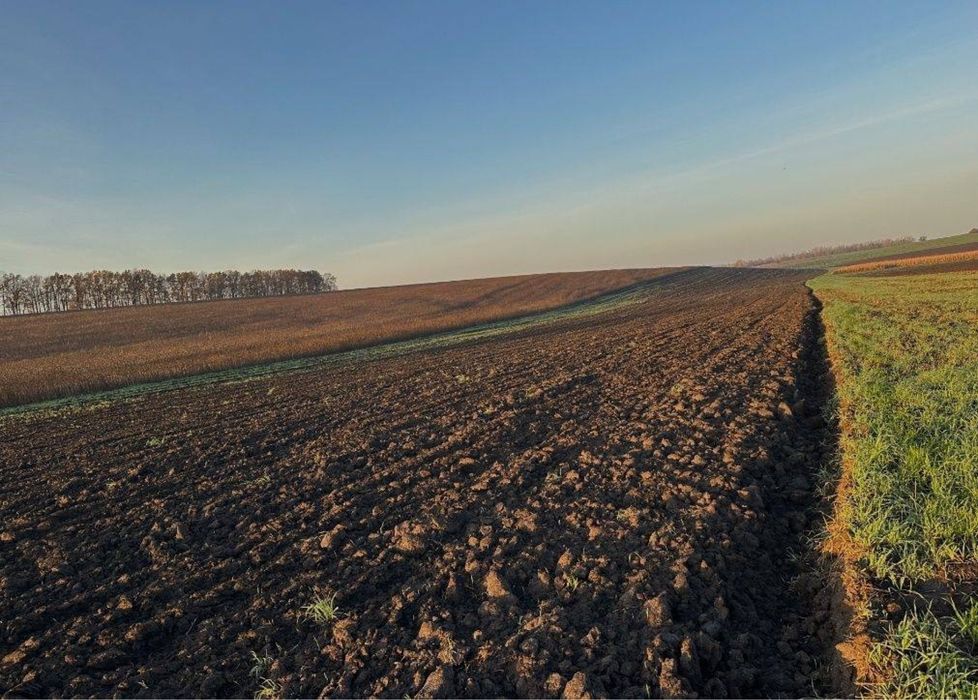 Земельна ділянка, пай 4,32 гектара