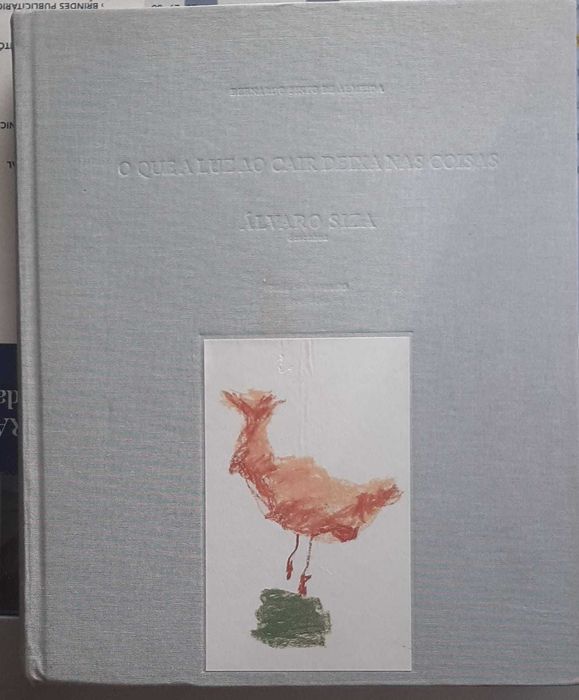 Siza - O que a Luz ao cair deixa nas coisas