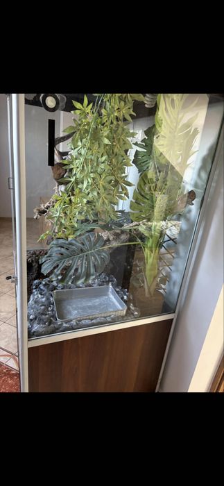 Duże terrarium 80/100/180 dla Węża Legwana itp ki
