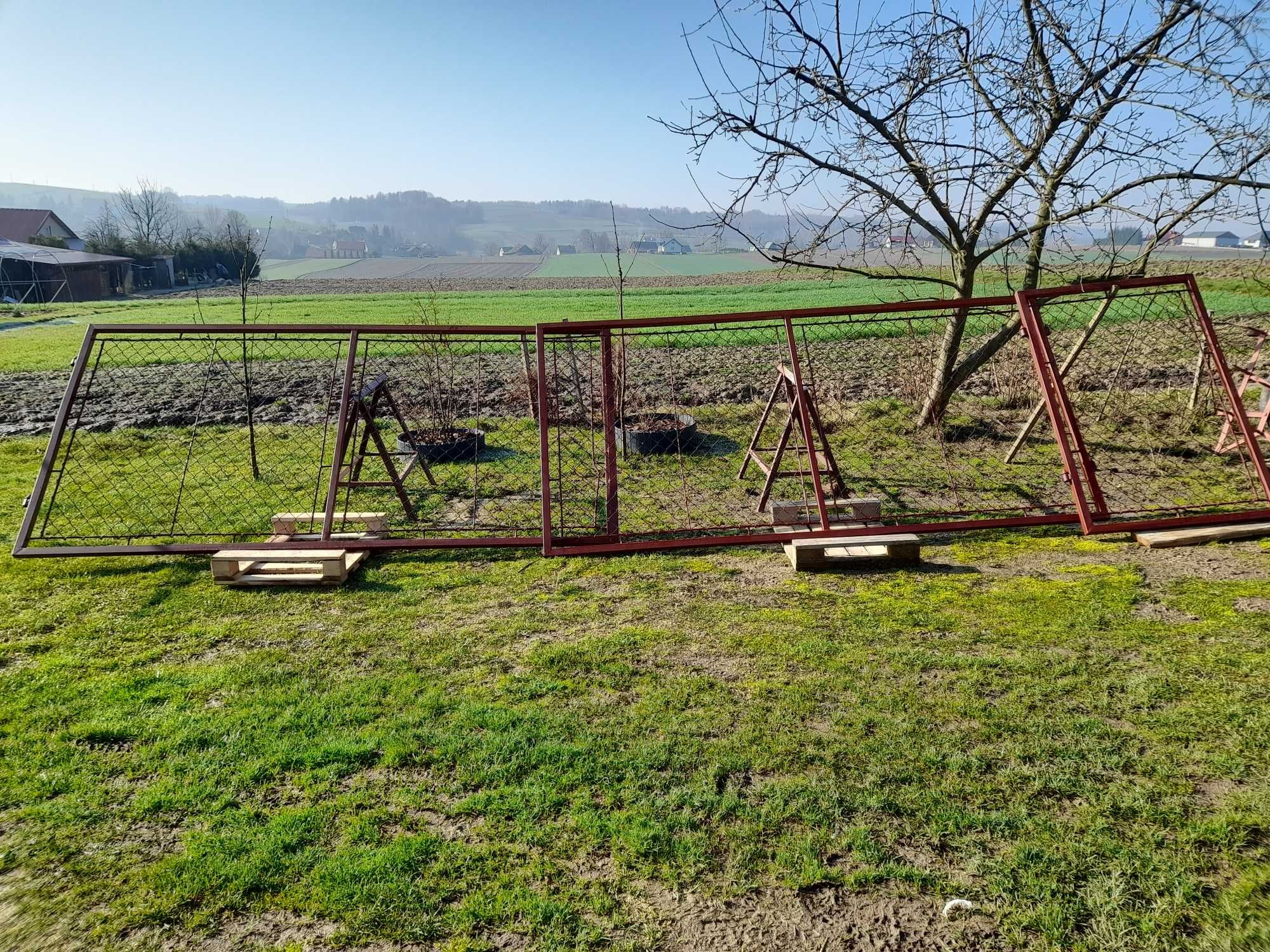 Brama ogrodzeniowa 6m z furtką