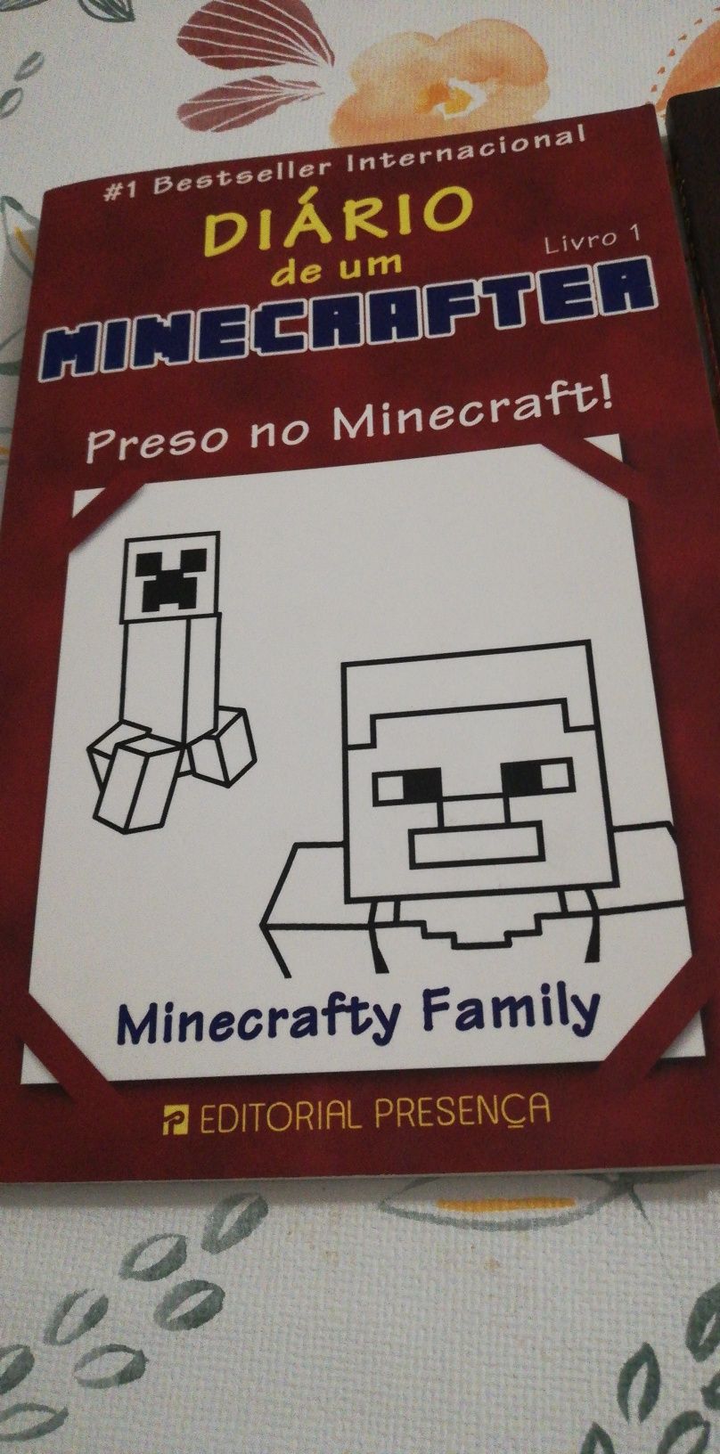 Livro Diário de um Minecrafter