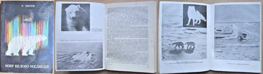 Файнберг Кнут Расмуссен. Перри Мир белого медведя. Смуул Ледовая книга