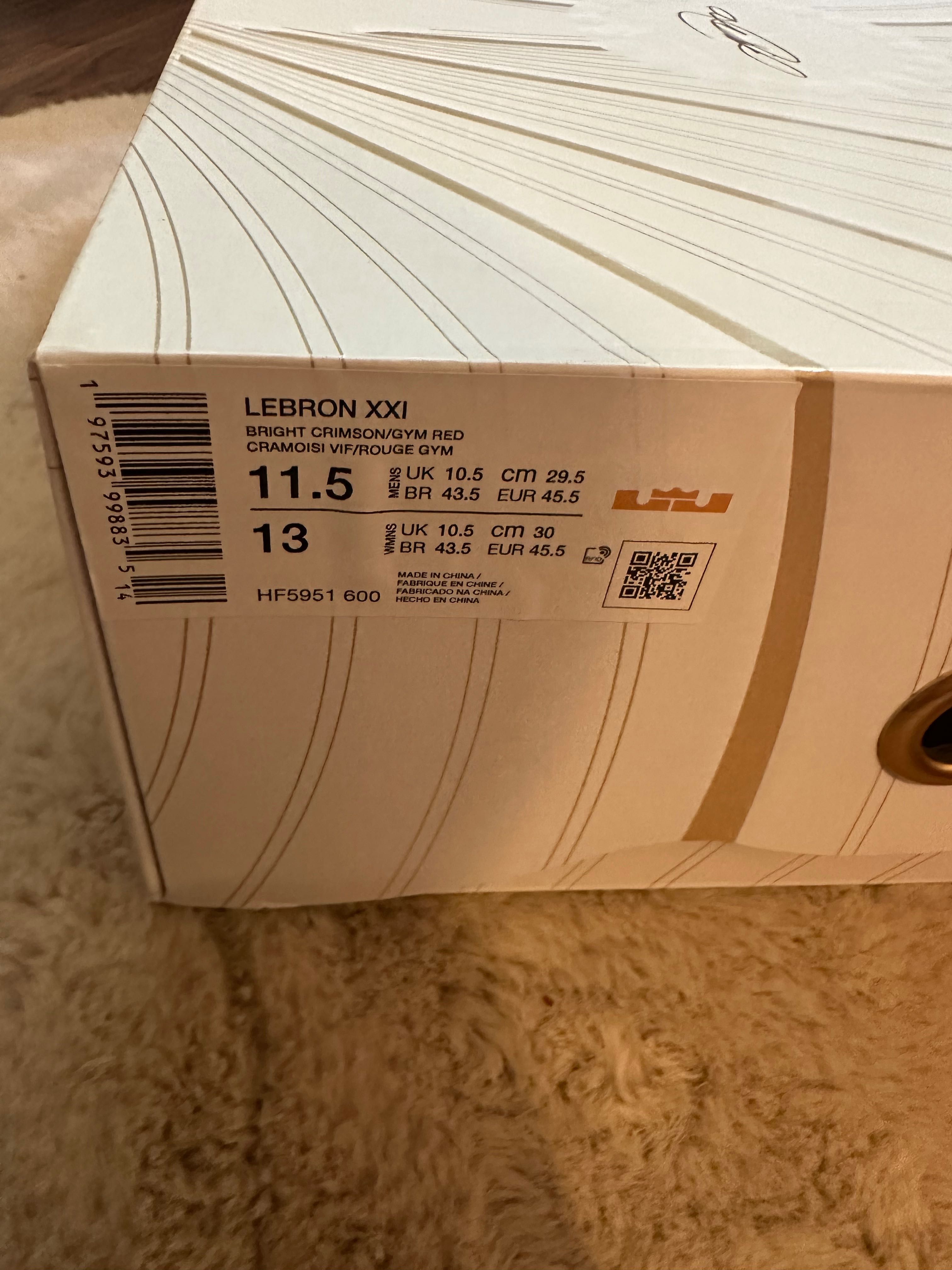 Nike LeBron 21 James Gang