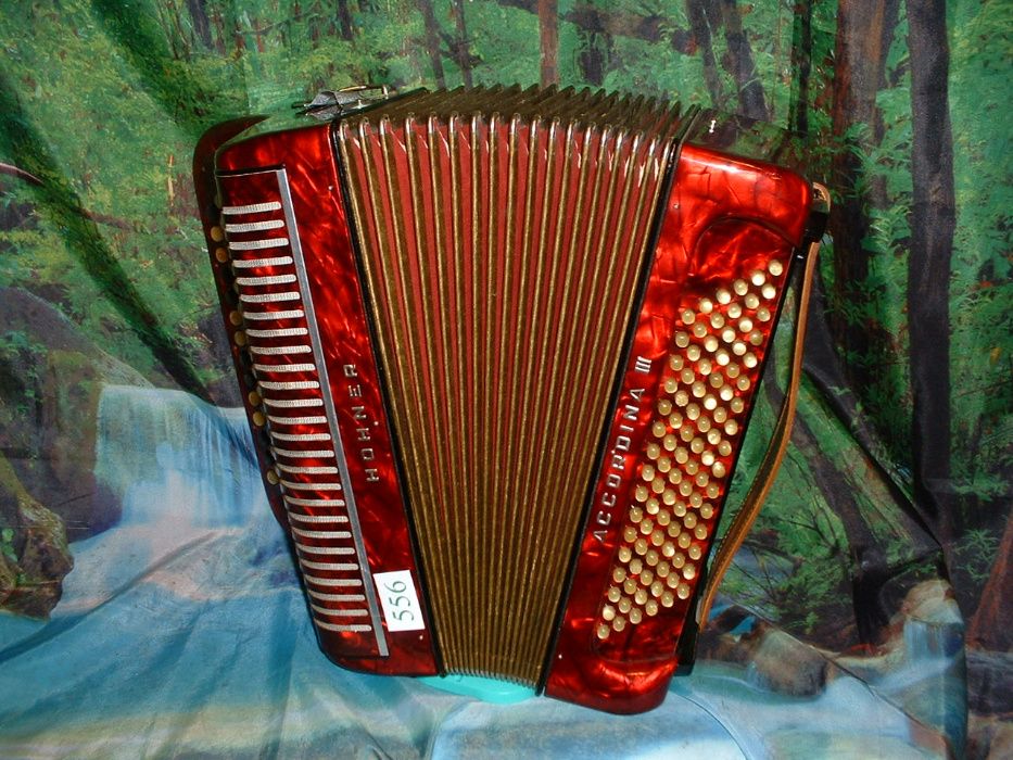 Avenda Acordeao R.556