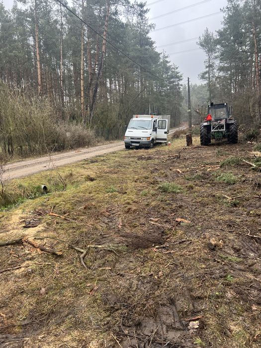 Alpinistyczna wycinka  i pielegnacja drzew/Czyszczenie dzialek