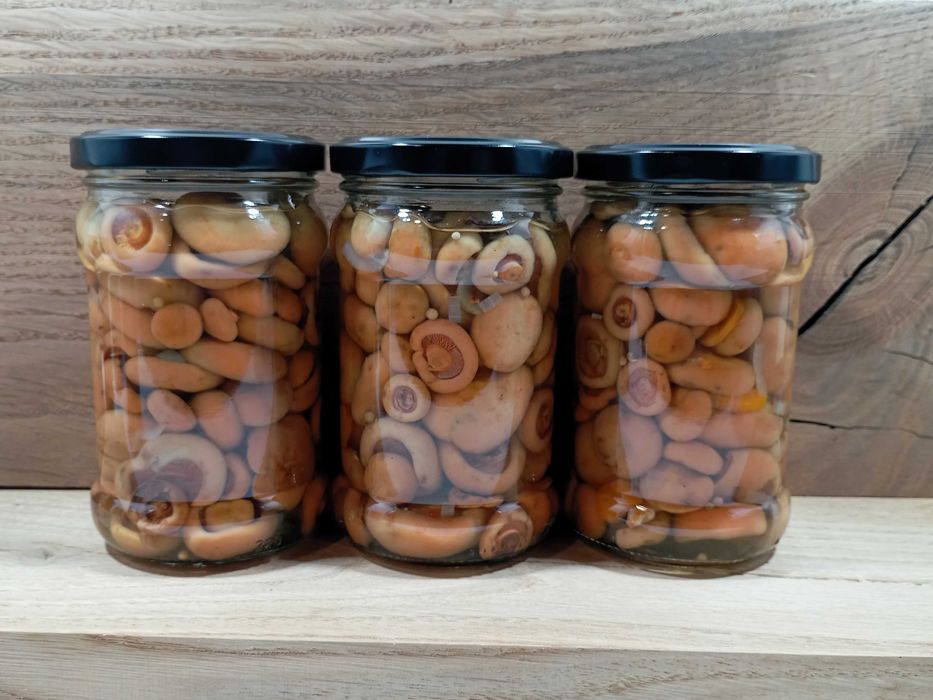 Rydze marynowane, małe. 9 słoików 315ml. Wysyłka.