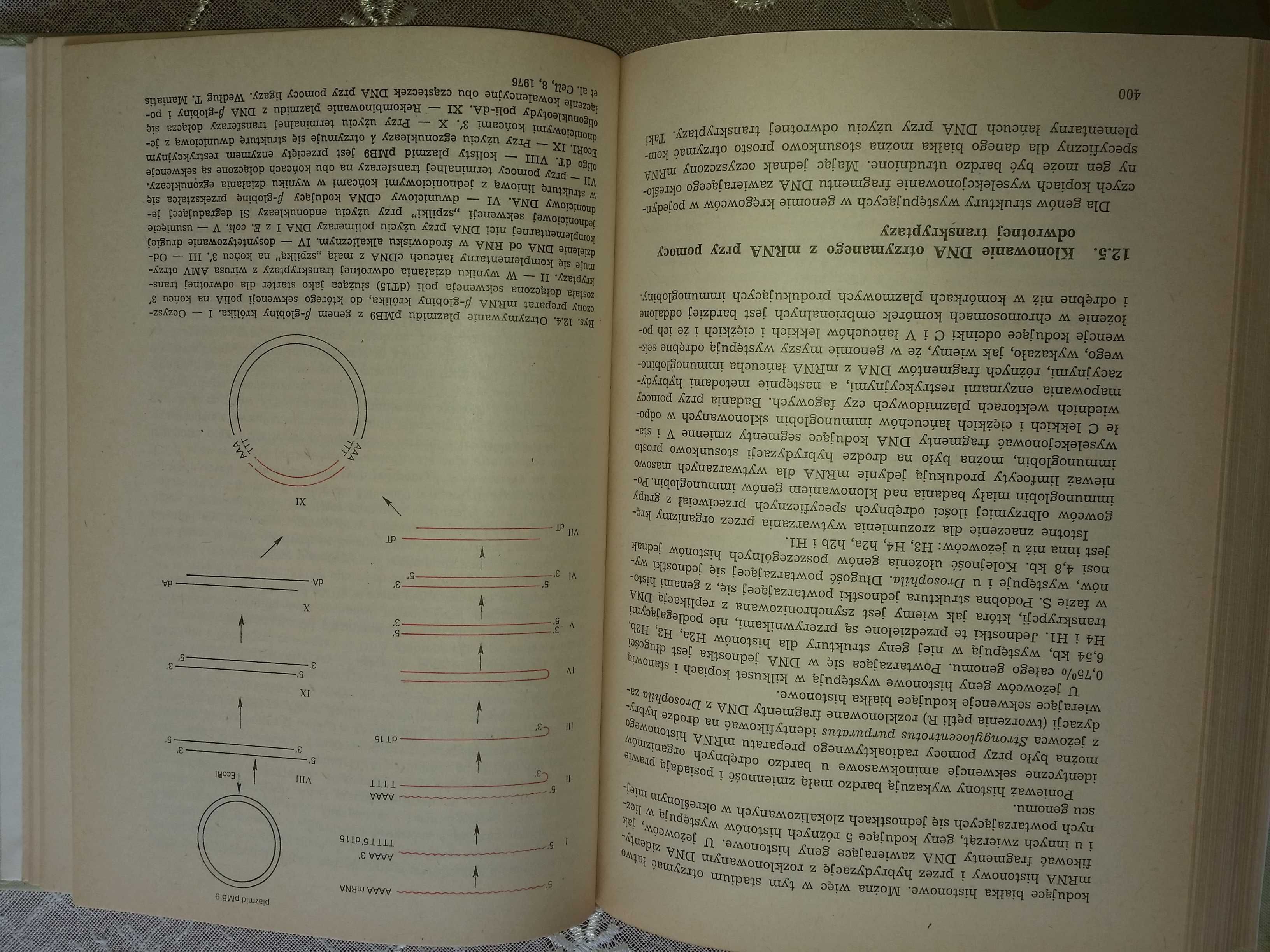 Genetyka ogólna i molekularna Wacław Gajewski książka