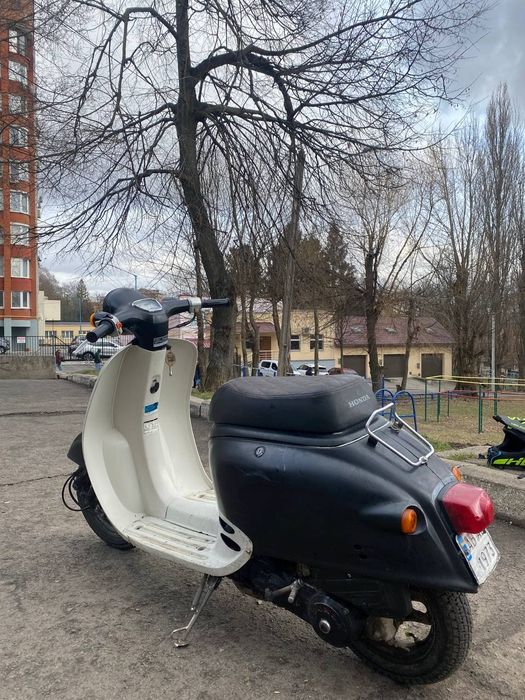 Мопед Honda giorno af24