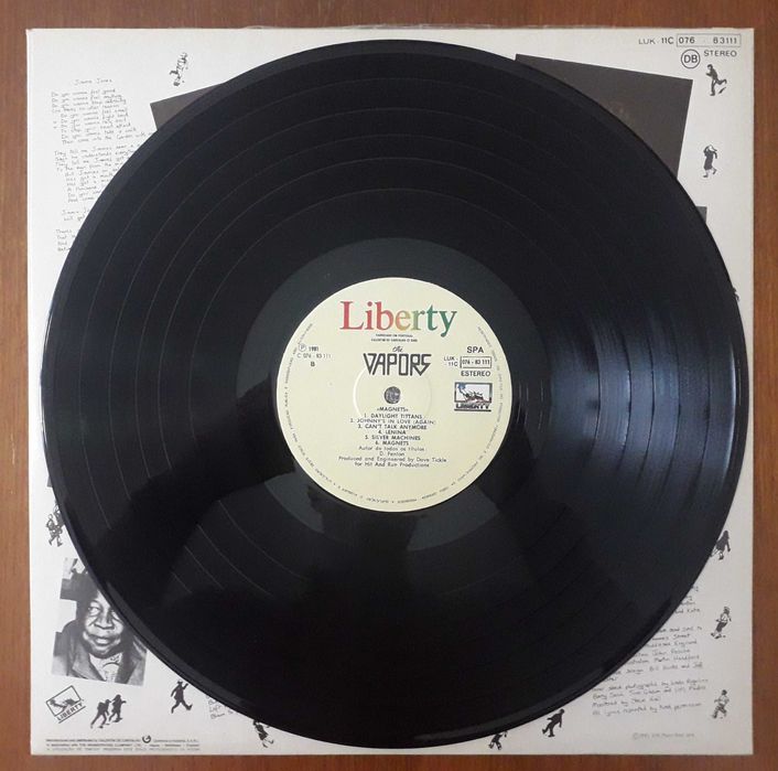 The Vapors disco de vinil "Magnets"