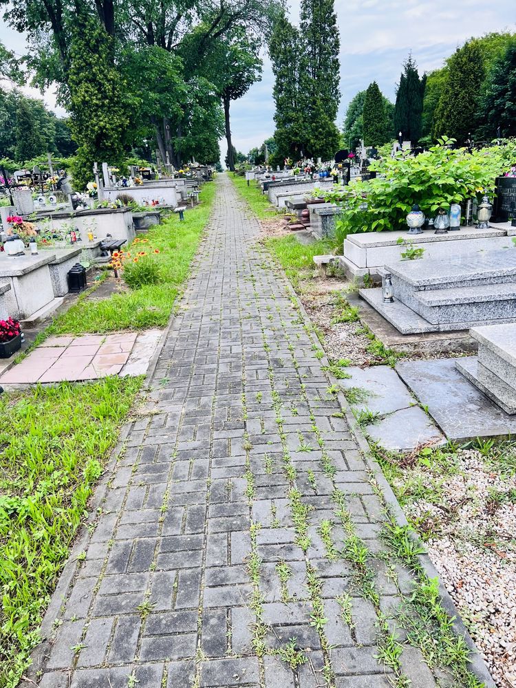Odstąpie miejsce na cmentarzu Ząbkowice