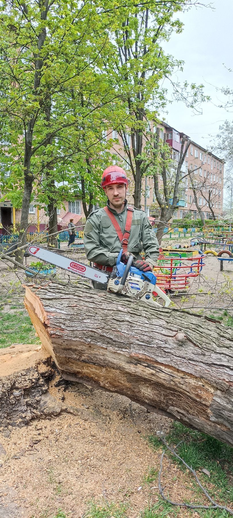 Зрізати Спиляти Видалити ДЕРЕВО  Спилить Срезать Удалить Уборка