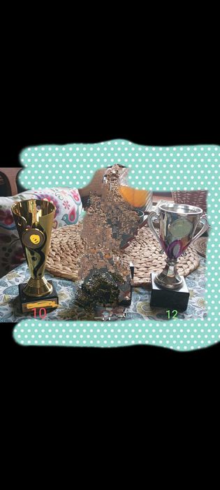 Zestaw puchary statuetka