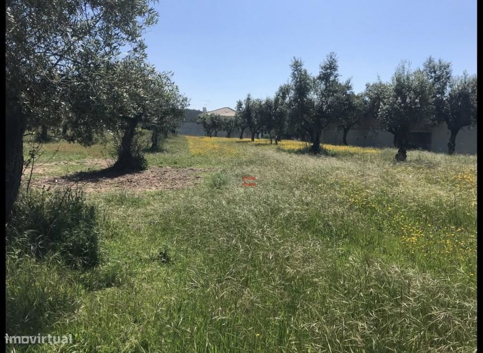 Terreno C/ Possibilidade de Construção