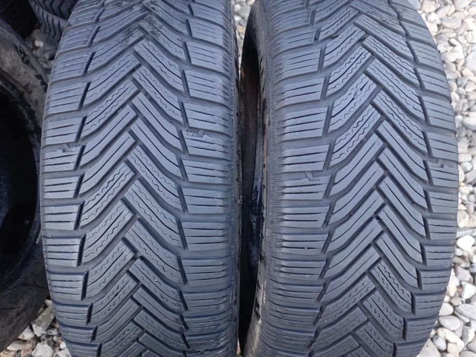 215.65.16 Michelin Alpin 2 шт