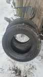 Opony zimowe Nokian