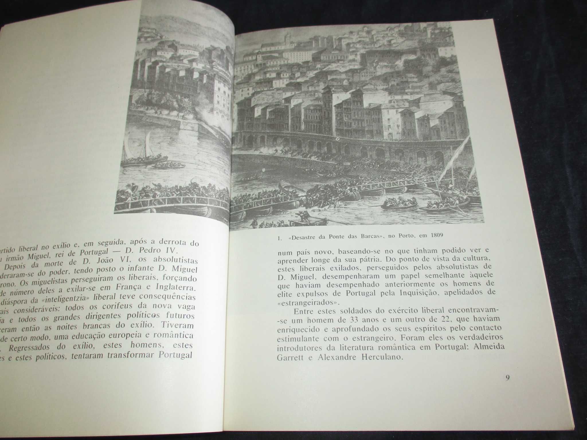 Livro Breve Panorama da Literatura Portuguesa