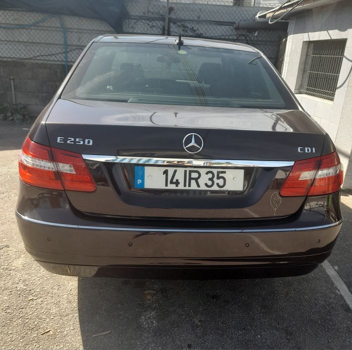 E 250 blueefficiency