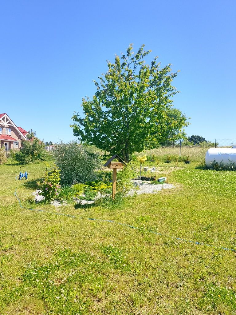 Sprzedam dom z działką 3000 m