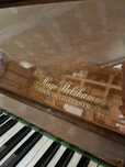 Pianino Hugo Stelzhammer
