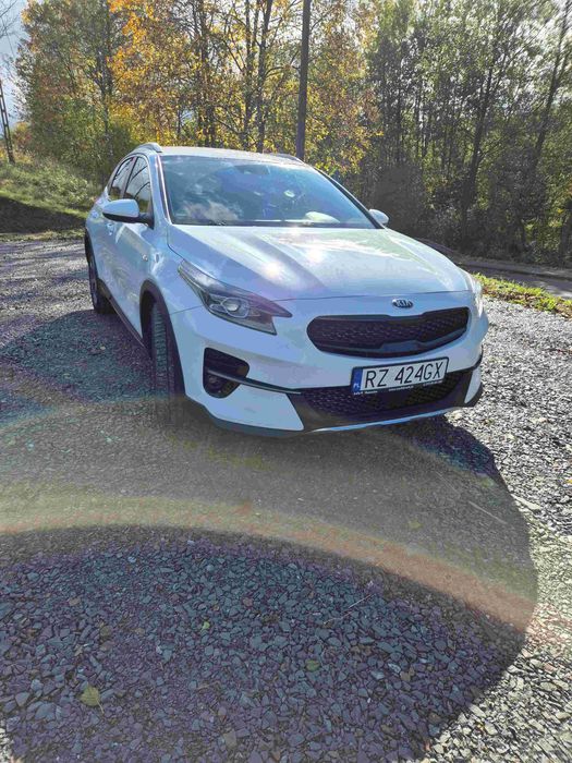 Ładny crossover Kia X ceed