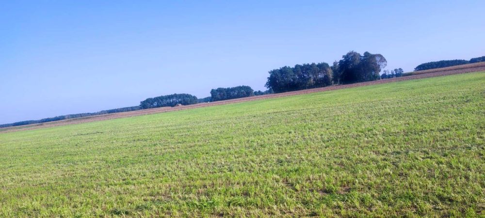 Działka budowlana 0.1611ha