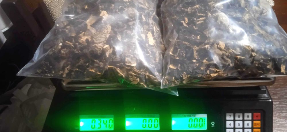 GRZYBY SUSZONE Kurka+PieprznikTrabkowy SUPER CENA 0,340KG 85zl-2025R