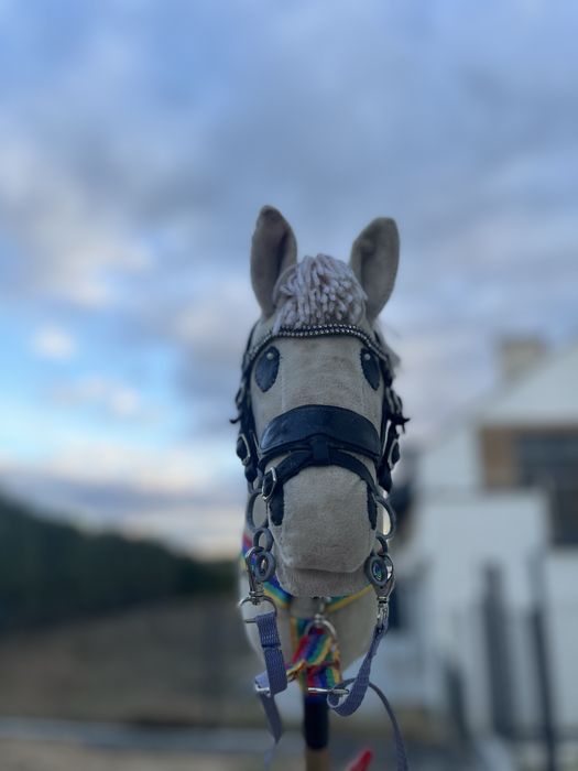 Piękny hobby horse