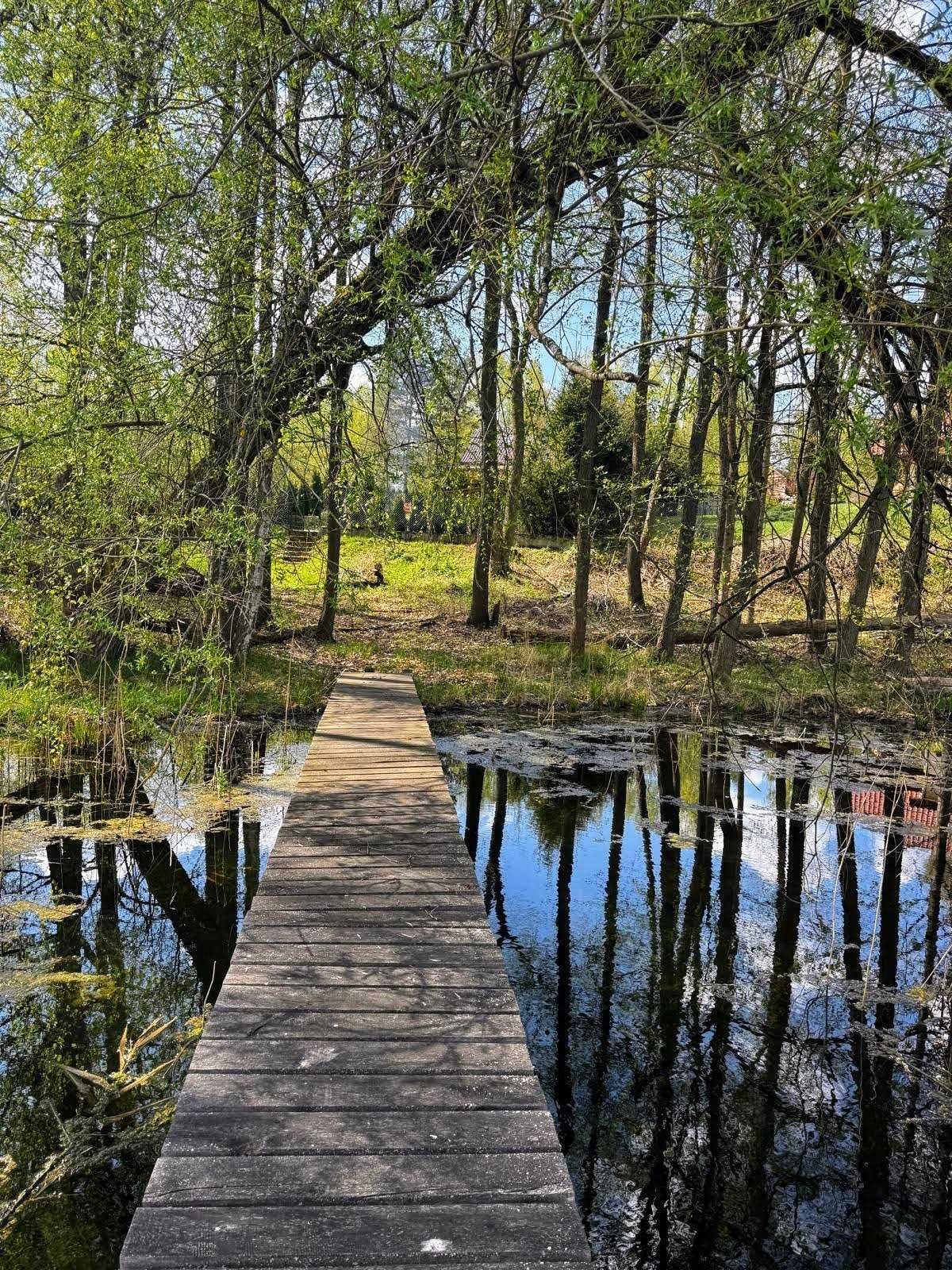 Domku z bala nad jeziorem Ciemino - wolne terminy