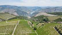 Quinta vinícola, para venda, Adorigo, Alto Douro Vinhateiro