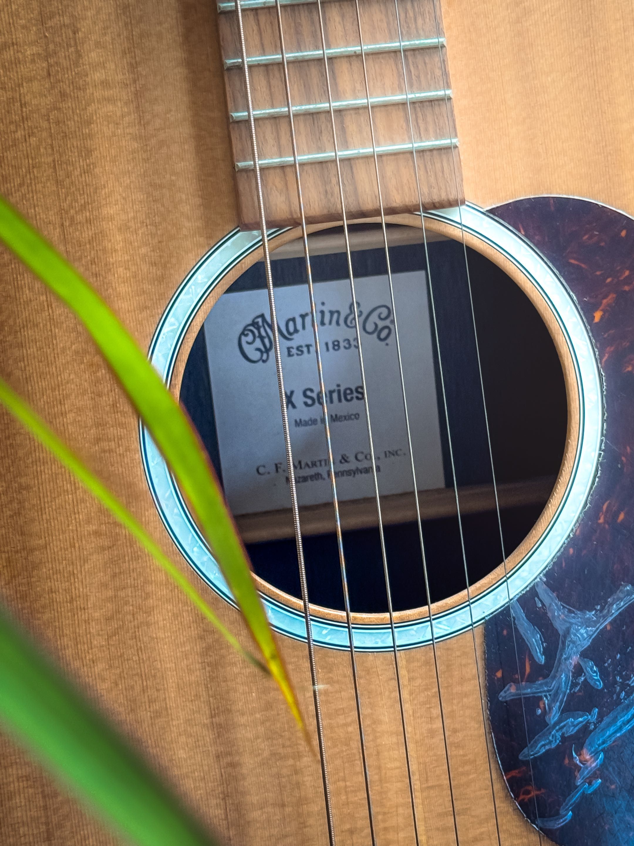 Martin Guitar DX2E Rosewood