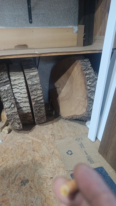 Plastry Orzech włoski 7sztuk