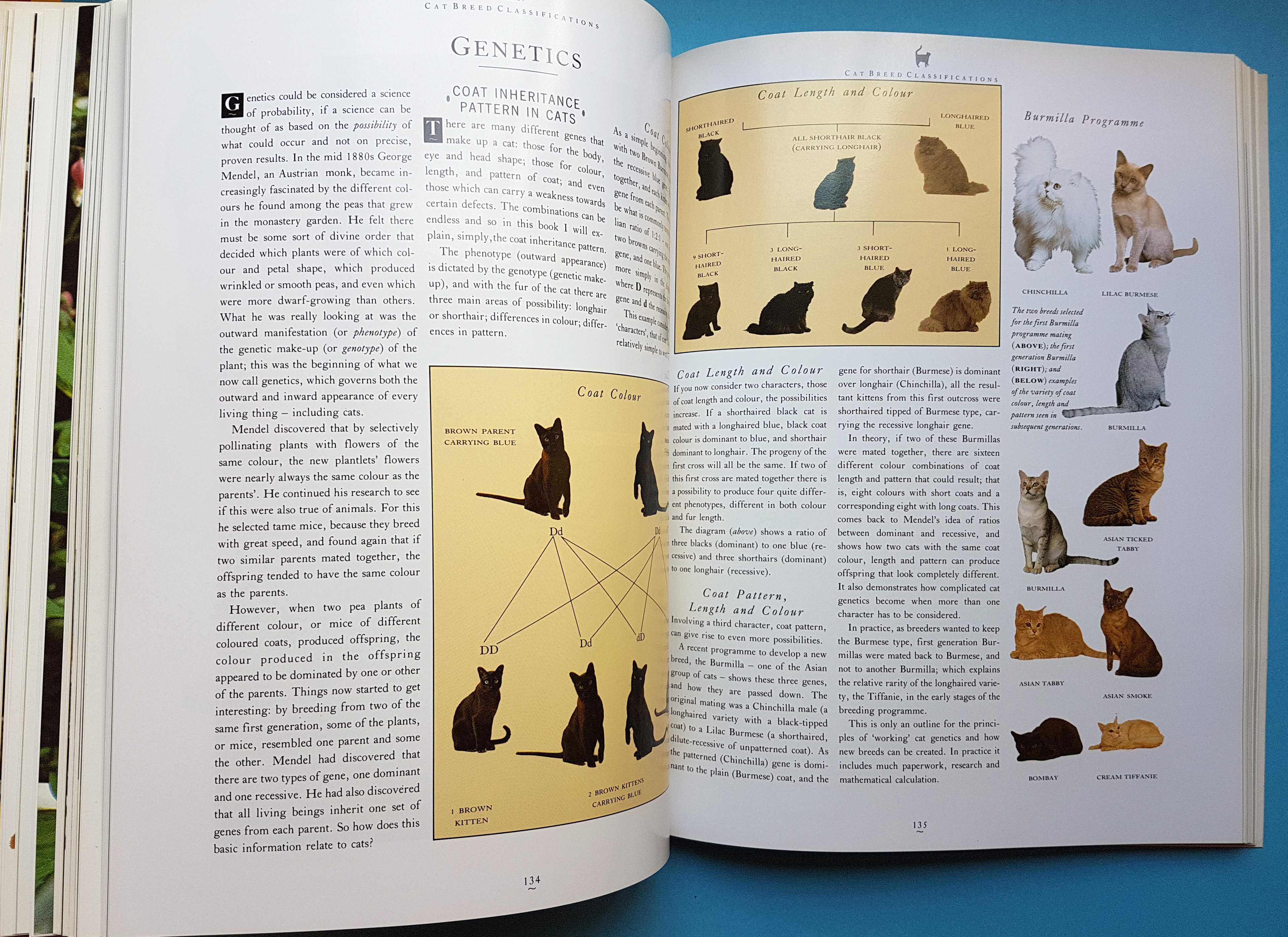 Livro "The Practical Cat Book"