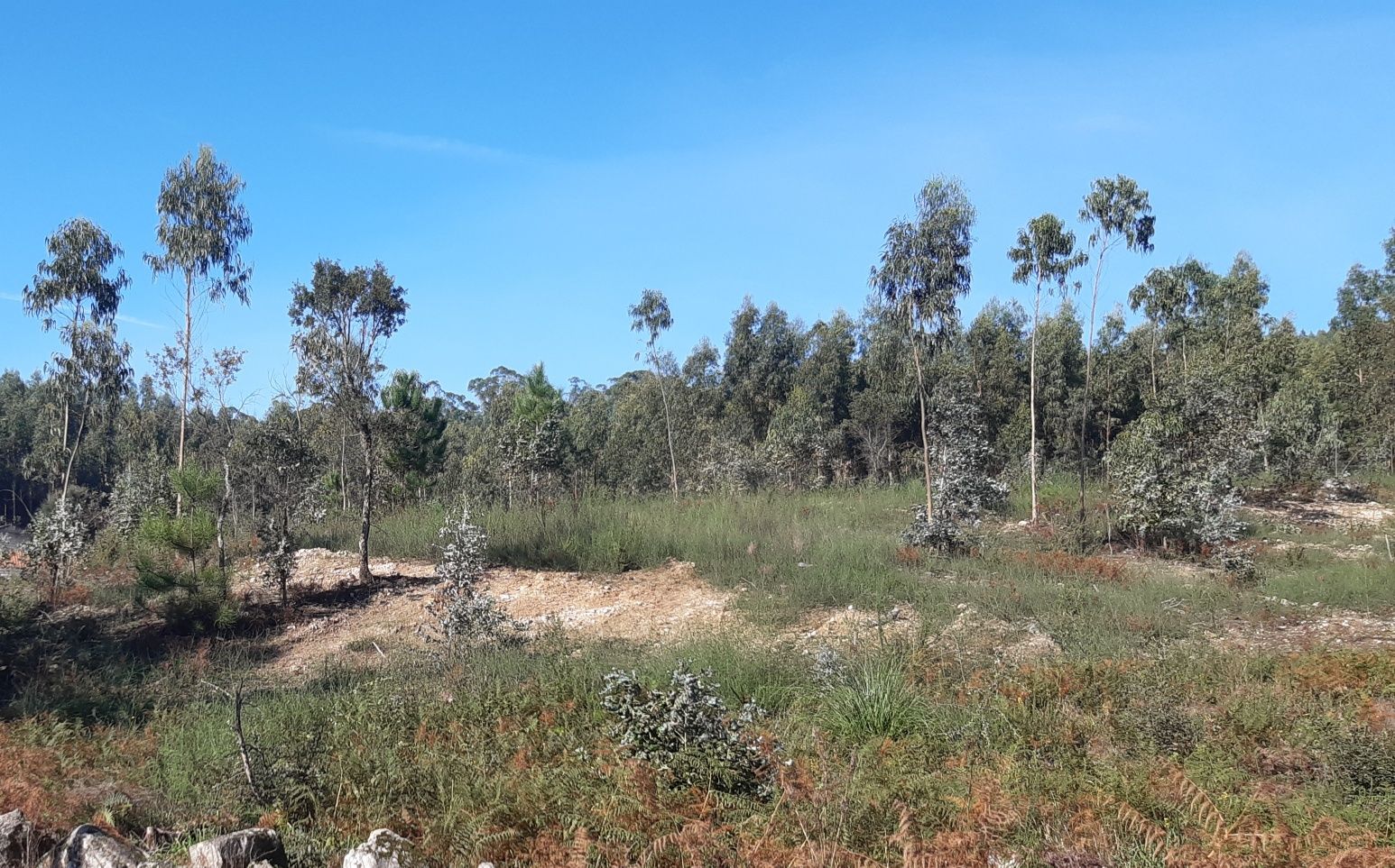 Terreno de construção para venda em Vila cova perto de Esposende