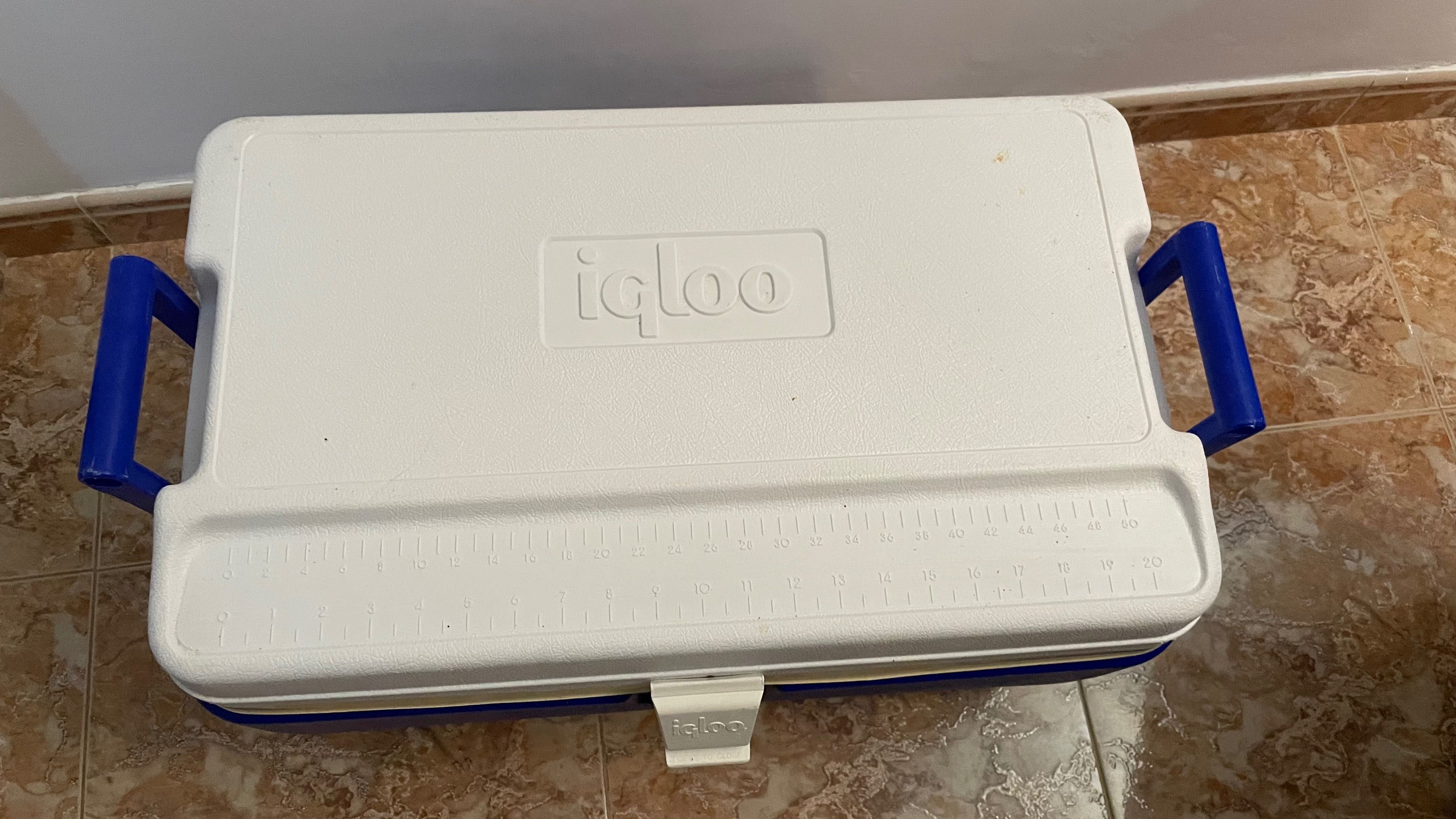 Igloo caixa refrigeradora