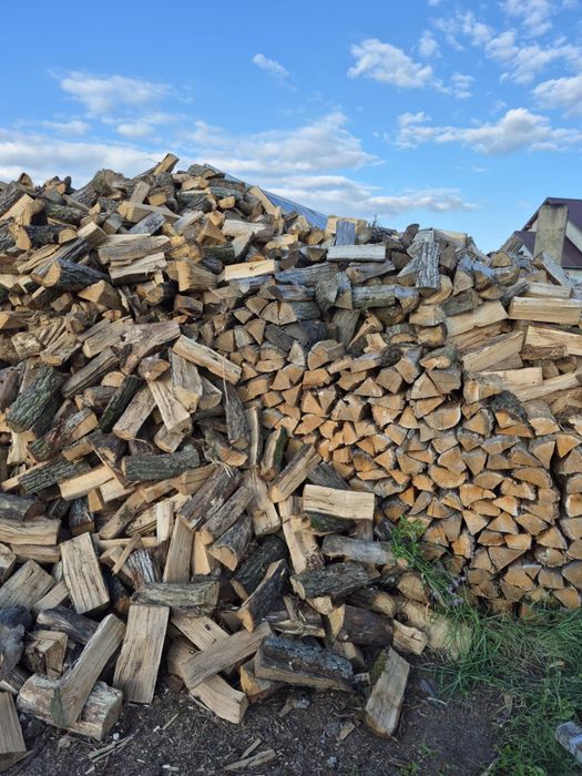 Drewno kominkowe dębowe