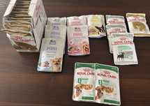 Karma saszetki dla psa x25 Royal Canin Brit CARE niskotłuszczowe York